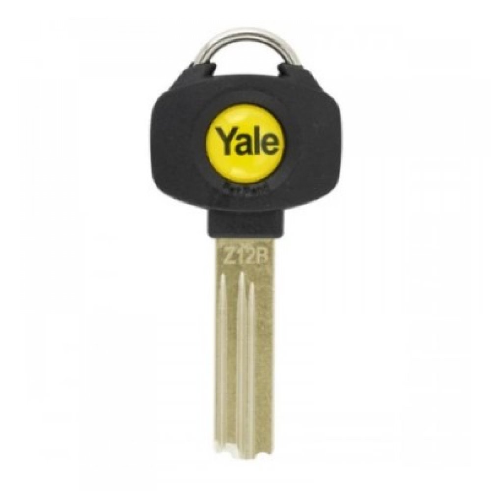 Yale Patented 3* Platinum Cut Keys